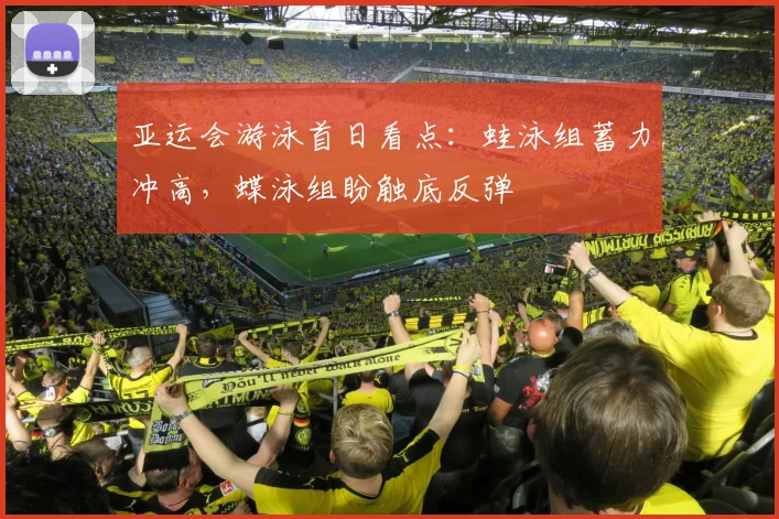 亚运会游泳首日看点：蛙泳组蓄力冲高，蝶泳组盼触底反弹