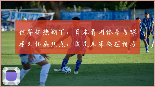 世界杯热潮下，日本青训体系与球迷文化成焦点，国足未来路在何方