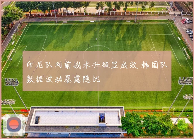 印尼队网前战术升级显成效 韩国队数据波动暴露隐忧