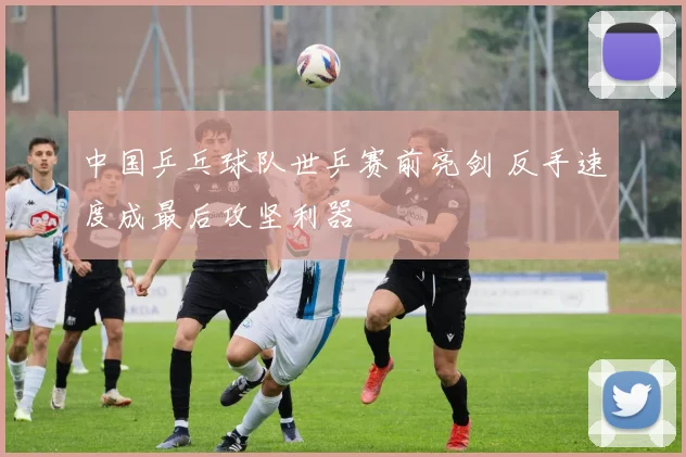 中国乒乓球队世乒赛前亮剑 反手速度成最后攻坚利器
